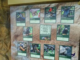 Haus des Meeres 13.03.2026